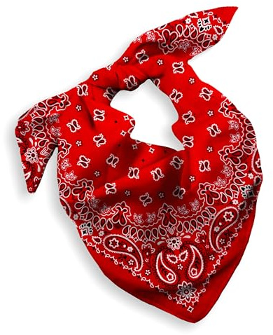 Every-ville Bandana/Foulard 100% Coton, 55 × 55 cm, Motif Paisley | Confortable, respirant et polyvalent, pour femme et homme, sport, randonnée, moto, cheveux, cou, mode, plein air et voyage