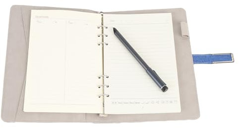 Smart Pen & Notebook Set, Digitalizzazione di Sincronizzazione in Tempo Reale della Penna Digitale per Archiviazione e Condivisione di Note, Apprendimento, Riconoscimento OCR (BLACK) (BLUE)