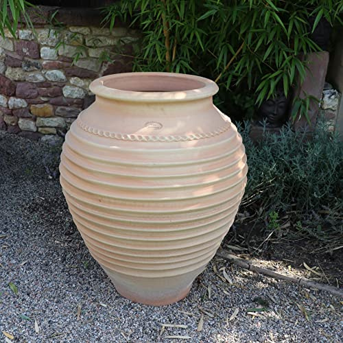 Palatina Werkstatt Terracotta Amphore Ficus - handgefertigtes Unikat aus Kreta, frostfest & winterhart, bauchige Gartenamphore & Pflanzkübel, 35-100 cm (80 cm)