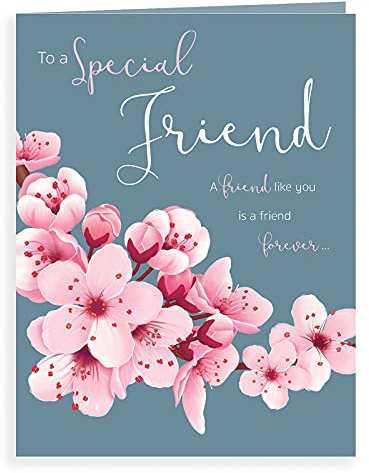 Piccadilly Greetings Koko Designs K70021 - Biglietto di auguri di compleanno per un amico speciale, 20,3 x 15,2 cm, colore: Rosa/Rosso/Blu