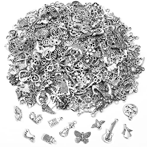 SANNIX 350PCS Charms Wholesale Bulk Jewelry Making Pendants for DIY Necklace Bracelet Earring Craft Supplies
