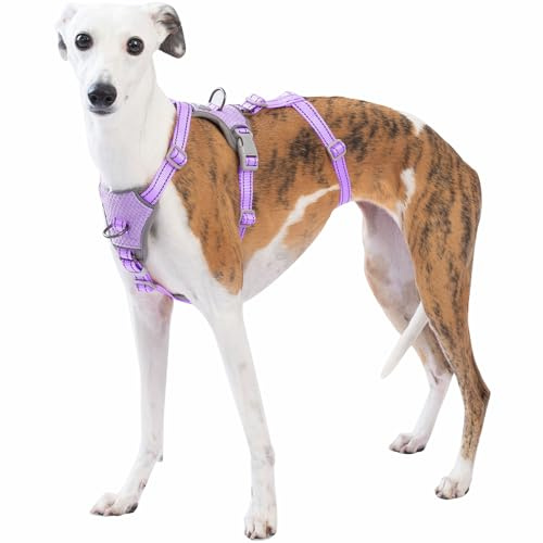 Huntboo Medium Rymningssäkert Hundsele, Anti-drag Reflekterande Hundsele, Säker 3-punktsväst för Små Djur, Lättviktig, Justerbar, för Stora Hundar vid Utomhusträning och Vandring (Lavendelpurpur,S)