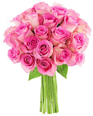 KaBloom PRIME NEXT DAY DELIVERY - Fall Collection - Bouquet of 25 Pink Roses Direct Fresh.Gift for Birthday, Sympathy, Anniversary, Get Well, Thank You, Valentine, Mother’s Day Fresh Flowers
