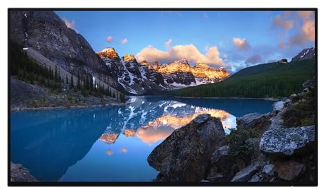 DELL UltraSharp U2424H_WOST écran plat de PC 60,5 cm (23.8) 1920 x 1080 pixels Full HD LCD Noir, Argent