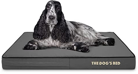 The Dog's Bed, Letto ortopedico per cani in memory foam, impermeabile