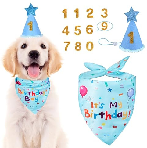 Cryptisg hund födelsedag bandana set, robust och hållbar hund födelsedag bandana, hög kvalitet och utsökt hundhalsduk små hundar, för liten medelstor stor stor hund (blå)