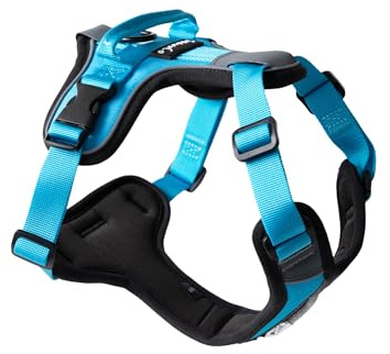 ShawnCo Basecamp Dog Harness, No-Pull Pet Vest with 3 Leash Clips, Padded, Reflective, Lightweight and Adjustable Harness with Handle for Small, Medium and Large Dogs (Oceanic Blue, L)