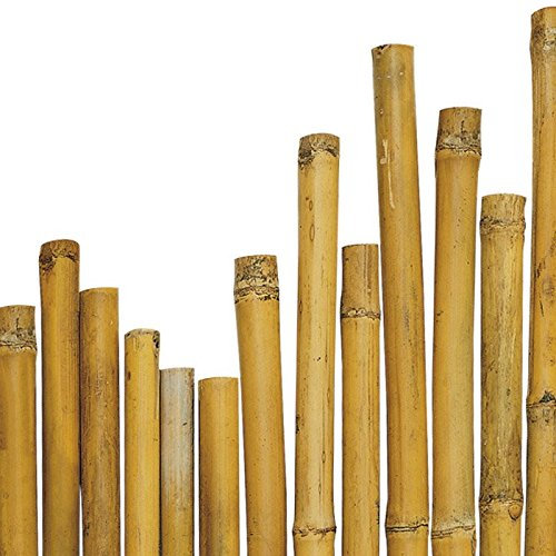 arredogiardini.it N° 50 Canne Bamboo bambù cm 210 x Ø mm 20-22 per Piante,Agricoltura,orto,arredi,strutture,Decorazioni