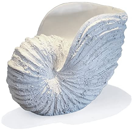 Huey House Nautilus Shell Sculpture - Replica Beach Themed Ocean Decor for Home - Rustic White Resin 10¼ x 6 x 8 Crafted Coastal Seashell Shelf Decor Gift-Boxed