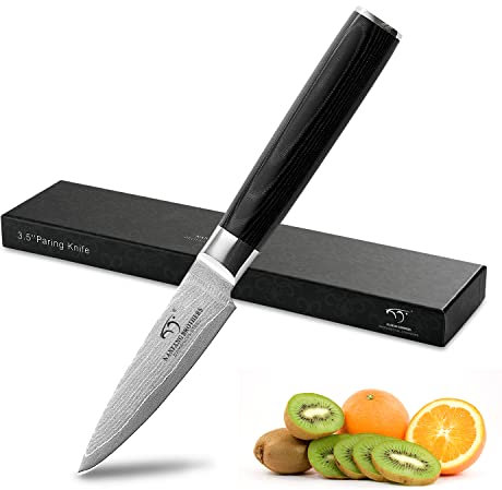 Coltello da Cucina Damasco da 3,5 Pollici, Coltello da Cucina in Acciaio Inossidabile VG-10 di Livello Professionale 67 Strati Con Impugnatura Ergonomica, Presentato in Confezione Regalo