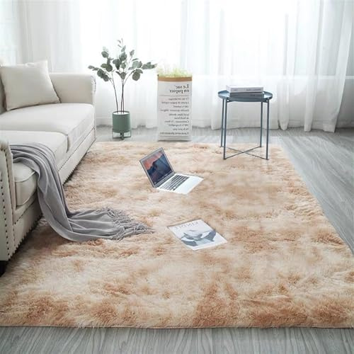 Tapis Doux et Moelleux Antidérapant Lavable en Machine pour Salon, Chambre Adulte, Couloir (S, 50 x 80 cm)