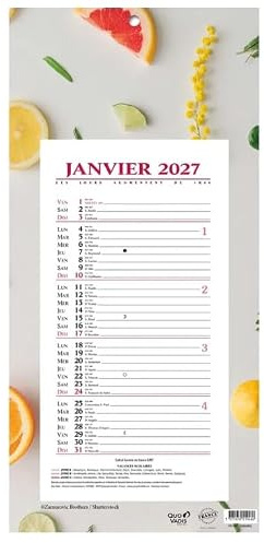 1 Plaque Calendrier Mensuel Long - Motifs Agrumes - Janvier 2027 à Décembre 2027 - Format 16 x 33,3 cm