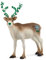 SCHLEICH 72189 - Wild Life - Rentier 2022, Weiß,grün,braun,beige