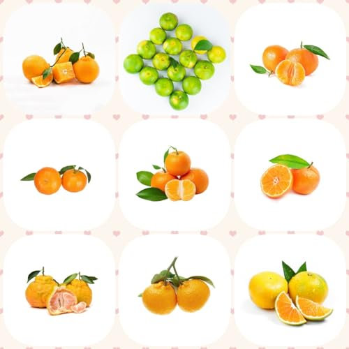 250 pcs orangenbaum kaufen samen bäume kaufen nachhaltige geschenke für frauen mandarinenbaum, bonsai baum dankeschön geschenke klein dachbegrünung bonzai baum pflanztopf winterharte