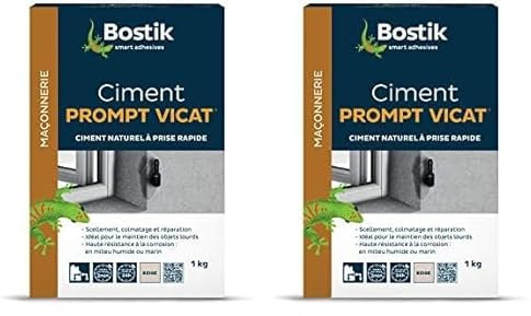 Bostik Ciment Prompt Vicat Beige 1kg (Lot de 2)