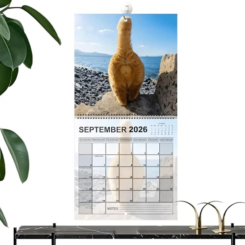 Calendario 2026 - Calendario Da Parete Mensile Gatto 29x23 Cm 12 2026 | Calendaro Da Parete Per Gatti, Strumento Di Pianificazione Per L'agenda Familiare, Per Frigorifero, Scrivania, Cucina, Soggiorn