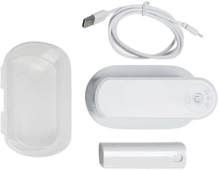 Machine à repasser sans fil avec poignée pliable, portable, rechargeable, fer à repasser pour vêtements, petit fer de voyage