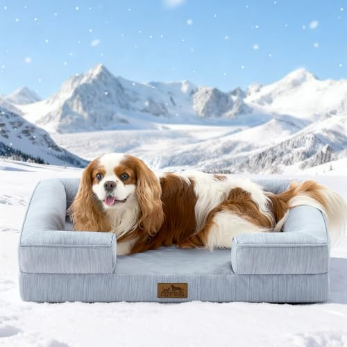 COZY KISS Cama Refrescante Medianos para Perros, Cama Perro Verano Impermeable, Ortopédica Sofa para Perros Desenfundable y Lavable, Colchón Perro Viscoelástico Fresco, Azul, M(76x51x15cm)