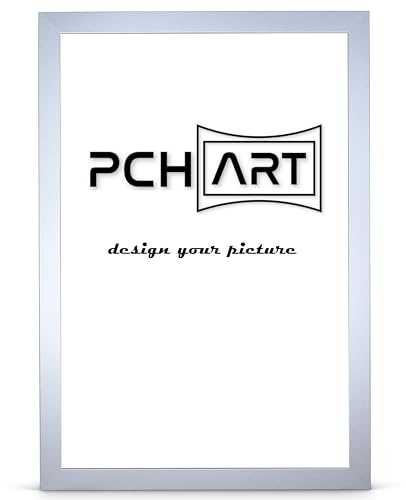 PCH[art] New Alaya Cadre photo | Couleur : aluminium | Dimensions : 60 x 80 cm | Cadre intemporel et sobre pour affiches, photos et portraits