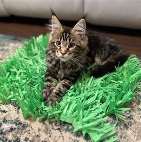 Premium Green Tissue Paper Grass Mat Toy for Cats and Kittens (pack of 2)