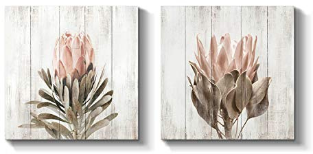 Floral Canvas Picture Wall Art: Protea Flower Artwork Painting on Canvas for Living Room (12 x 12 x 2 PCS, Multiple Sizes/Material)