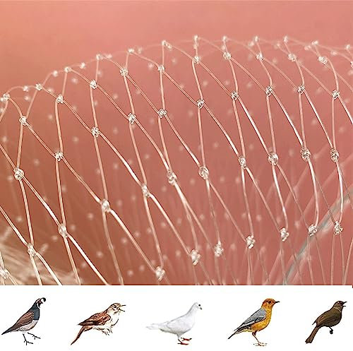 Filet Anti Oiseaux en Maille Filet de Protection Jardin, Filet Anti Pigeon Transparent, Filet Anti-Oiseaux pour Balcon, Bassin, Fruits, Légumes et Plantes, Oiseaux Contrôle(Size:3m x 5m)