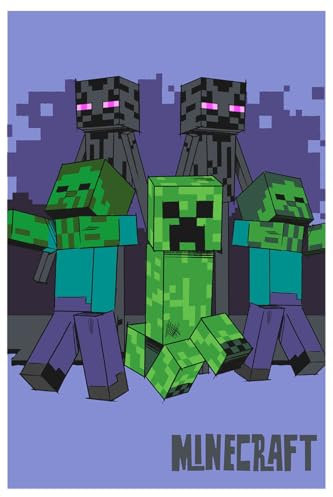 Jerry Fabrics Minecract Fleece Blanket - Super Soft Blanket Fleece Throws 100 x 150cm - Gifts for Children, Teenagers and Adults Bedspread Throw