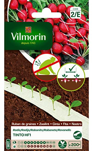 Vilmorin - Ruban de graines radis Tinto HF1 5m