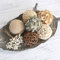 CIR OASES 6pcs 3.5inch Woven Wicker Rattan Balls Decorative Ball Twig Orbs Green Orbs Vase Bowl Filler for Tabletop Decoration (Brown) …