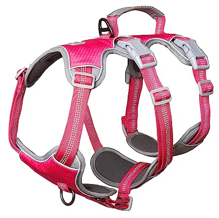 Huntboo Flyktfri sele, Hundsäker sele utan glidning, Reflekterande sele med handtag, Andningsbar, Hållbar, Justerbar väst för stora hundar vid promenader, träning och löpning (Rosenröd, L)