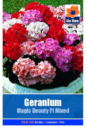 Flower Seeds Geranium Magic Beauty F1 Mixed - 5 Seeds Packet Plant Bedding Borders Containers Pots Grow Your Own Garden Plant Seed