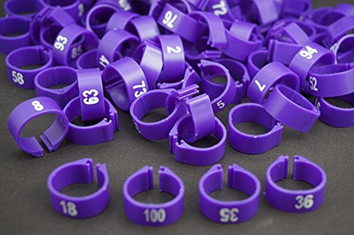 ( Pack of 100 Pcs ) ，(14mm) Bird Leg Bands Pigeon Chicks Duck Goose Parrot Bantam Poultry Pet Rings ，1-100 Numbered，Purple
