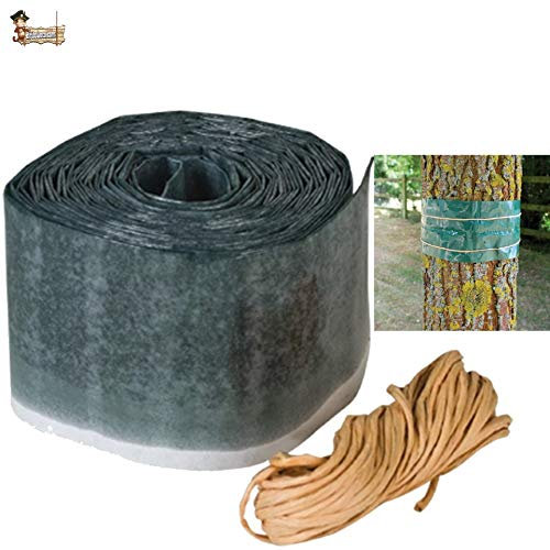 BricoLoco Protección insecticida árboles. Banda Libre de Veneno. Protege contra Insectos, orugas, Hormigas, procesionarias, arañas… Frutales y Ornamentales. (1 ud. x 175x10 cms.)