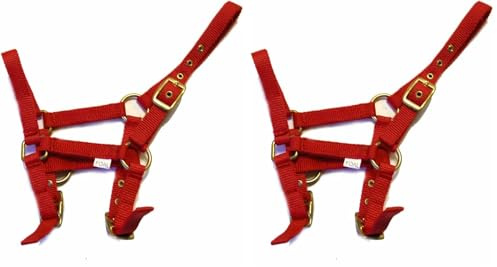 Rhinegold Nylon Foal Headcollar - Red (Pack of 2)
