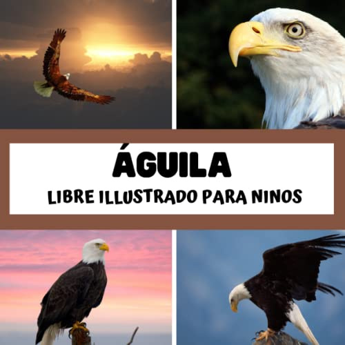 Libre illustrado para ninos - águila: Descubrir los águila en imágenes - Niños de 2 a 5 años