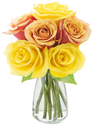 Blooms2Door PRIME NEXT DAY DELIVERY - Fall Collection - Bouquet of 6 Orange and Yellow Roses with Vase.Gift for Birthday, Sympathy, Anniversary, Thank You, Valentine, Mother’s Day Fresh Flowers