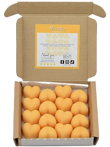 RS Wellness Mango mycket doftande vaxsmältningar – 16 vaxsmältningar presentset – handgjord hemdoft – vegan och husdjursvänlig – lyxigt ljusalternativ – mycket doftande ljusgåvor för kvinnor