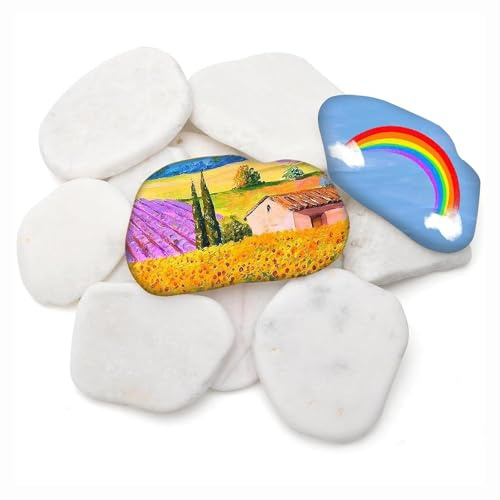 BbiuRer Steine Zum Bemalen, 10 Stück Flache Kieselsteine in 3 Größen, Mit 10 Verschiedenen Pinseln, Ideal Für DIY Kunstprojekte, Kinderbemalung Und Hausdekoration