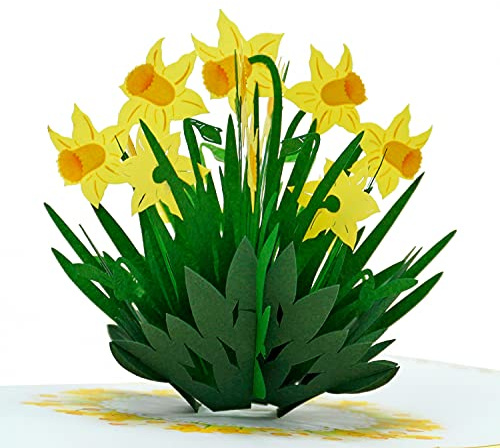 CUTPOPUP Daffodil 3D Cards - Birthday Cards for Women, Mothers Day Cards Pop Up, Flowers 3D Greeting Card, Anniversary Cards, Valentines Card UK
