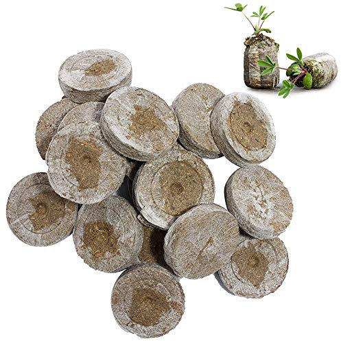 WRYIP Compresse Sorgenti di Torba, Terriccio di Cocco Pressato per Coltivazione, Terriccio per Piantine e Semi (10 Pezzi)