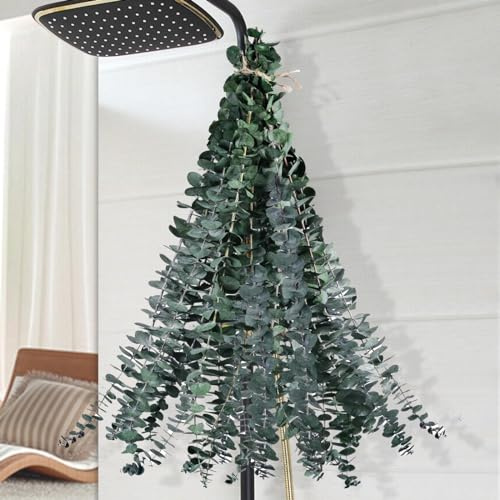 12PCS Dried Eucalyptus for Shower Hanging - 17'' Real Large Preserved Eucalyptus Stems Green Home Decor, 100% Made from Fresh Eucalyptus Leaves, Bathroom Shower Decor, Wedding, DIY