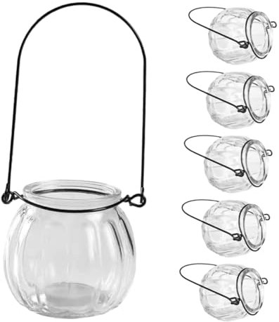 HYTROVE Hängevasen Für Die – 6er-Packung Aus Klarem Glas Hydrokultur Im Glasstil Für Luftpflanzen