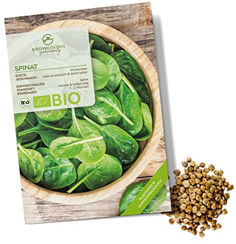 BIO Spinat Samen (Winterriese, 125 Korn) - Winterspinat Saatgut aus biologischem Anbau ideal für die Anzucht im Garten, Balkon oder Terrasse