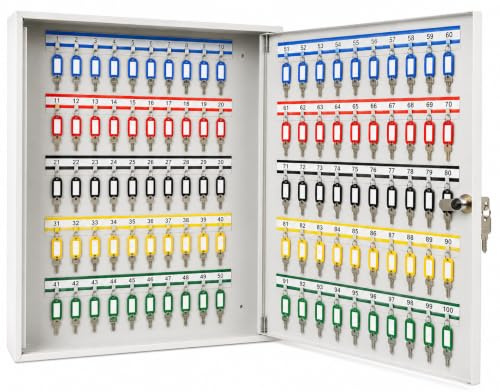 LEOMAR Armario para Llaves, Caja con 100 Ganchos, de Chapa de Acero, con Tiras de Ganchos Fijas, para Montaje en Pared, con Cerradura, con Material de Montaje, 6 x 35 x 52 cm