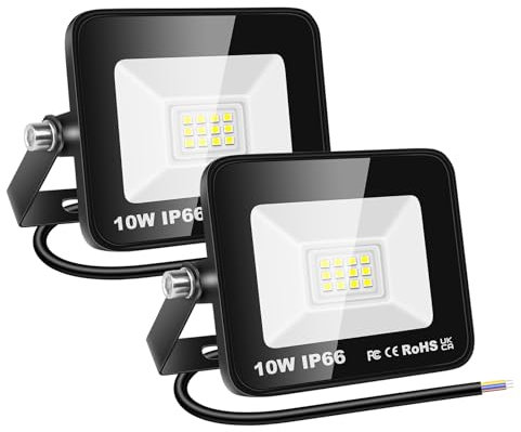 RIGIDON 2 Pcs Outdoor Flood LED Work Light, 10W 1000 Lumens Floodlight, Daylight Cold White Security Lights for Garden Yard Lawn Basketball Football Court Patio Landscape, IP66 Waterproof 6000K