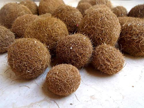 Bolas De Fibras De Posidonia