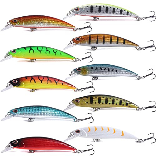 LURESMEOW Jerkbait Fishing Lures Jerk Baits for Bass Fishing Jerk Bait Minnow Lures with Tackle Box for Freshwater Saltwater,10pcs