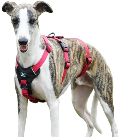 Paworld Arnes Antiescape Perro, Arnes Antitirones Perro, Arnes Perro Grande, Ajustable, Duradero, Transpirable, Sin Estrangulamiento, Entrenamiento y Paseo al Aire Libre (Rojo Rosa, L)