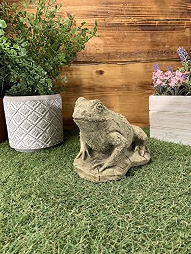 Generic Stone Garden Frog/Toad Gift Concrete Ornament