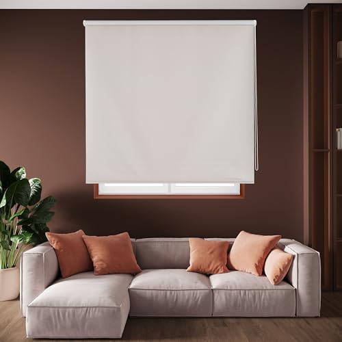 Blindecor Draco Tenda a rullo oscurante - Argento grigio, 180 x 230 cm (Larghezza x Altezza) | Dimensioni del tessuto 177 x 225 cm | Tende termiche oscuranti